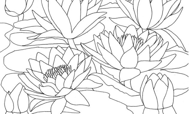 Coloring books for watercolor